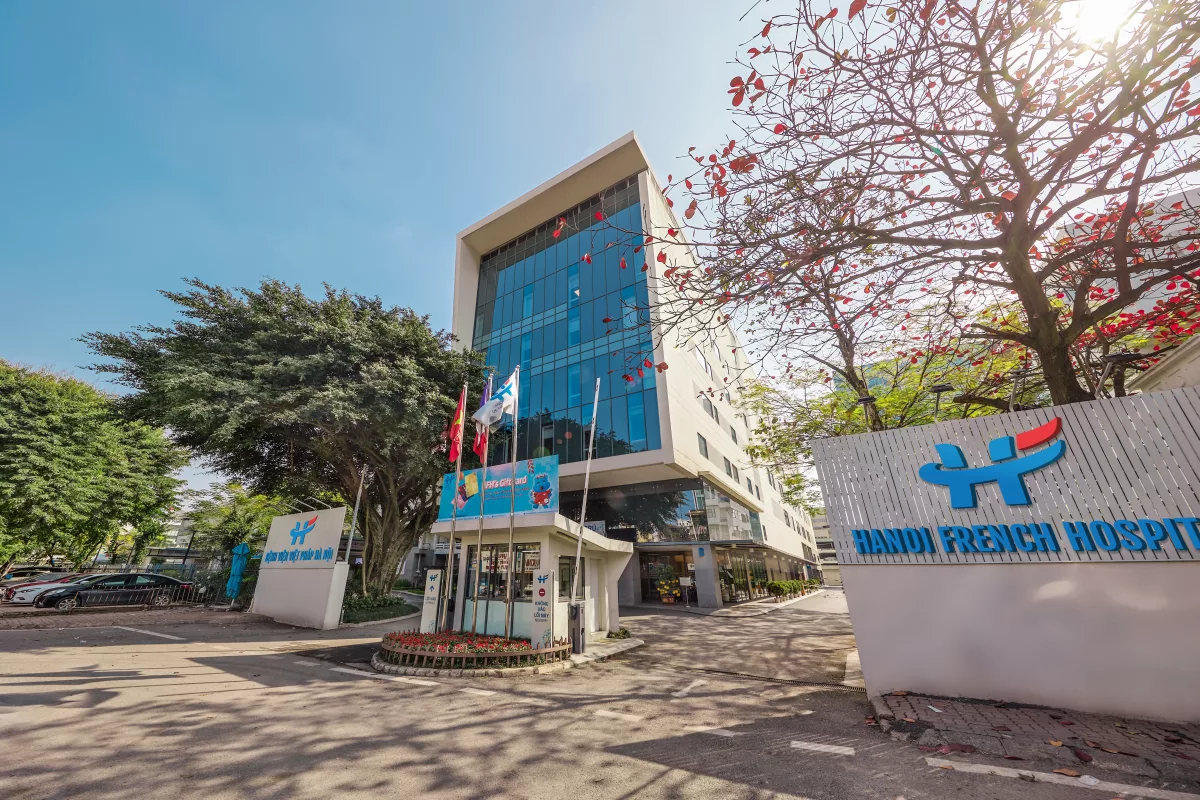 HFH organization chart